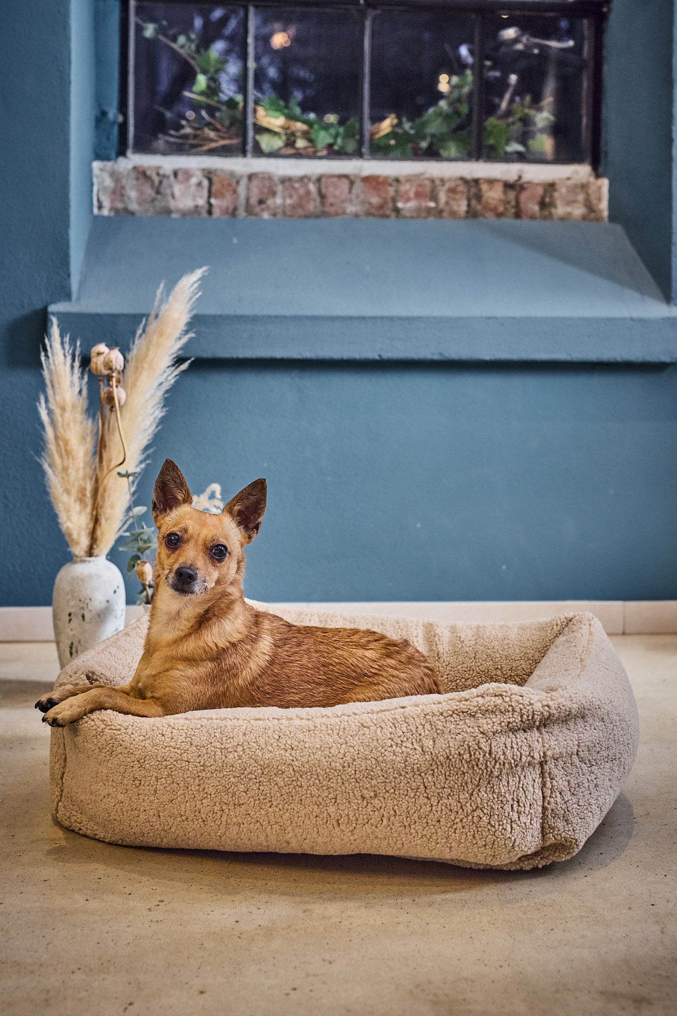 Teddy hondenbed