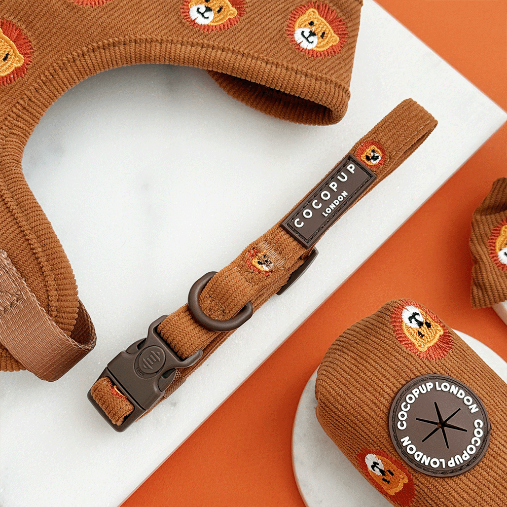 Cocopup London Leo the Lion – Hondenhalsband – productfoto Cocopup London