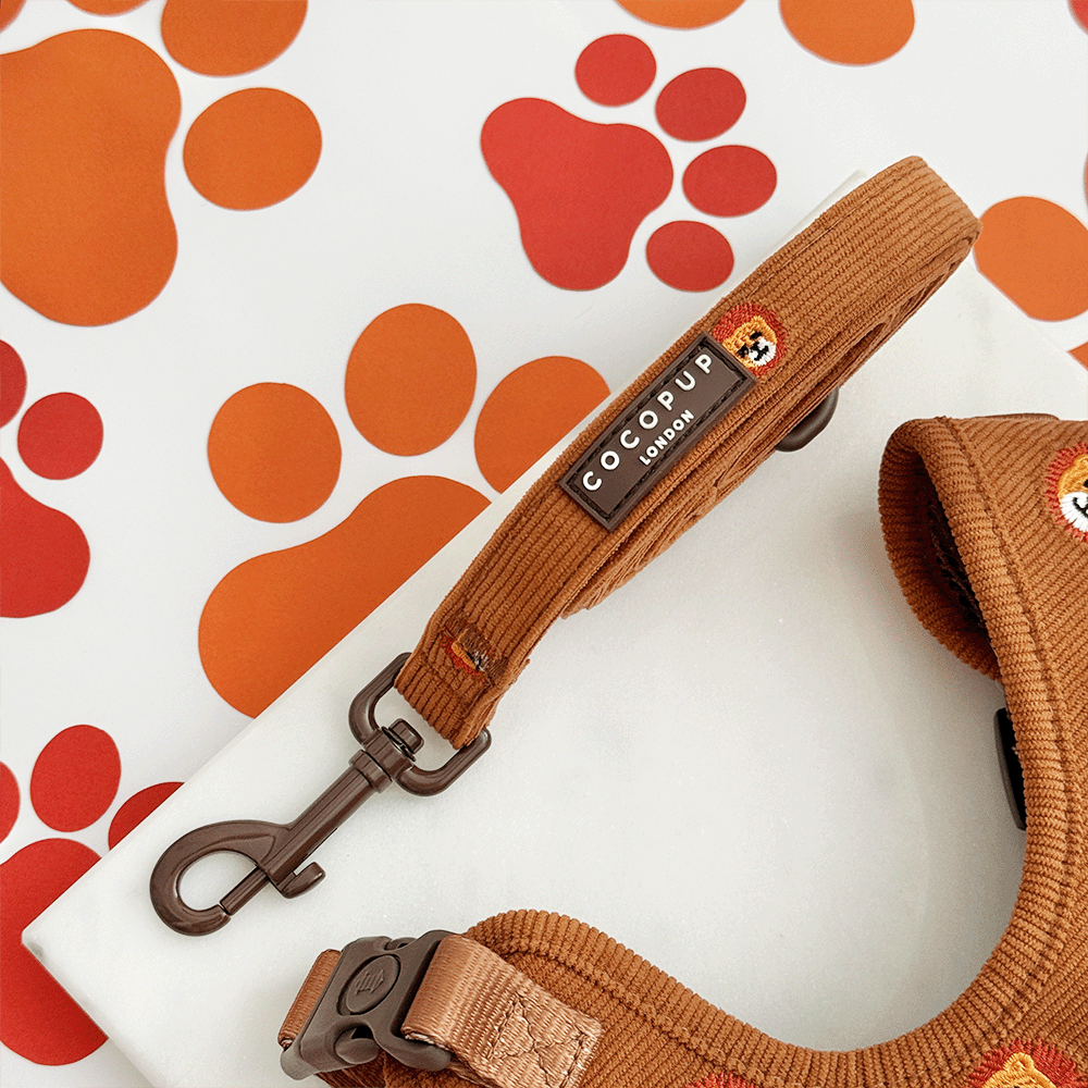 Cocopup London Leo the Lion – Hondenlijn – productfoto Cocopup London