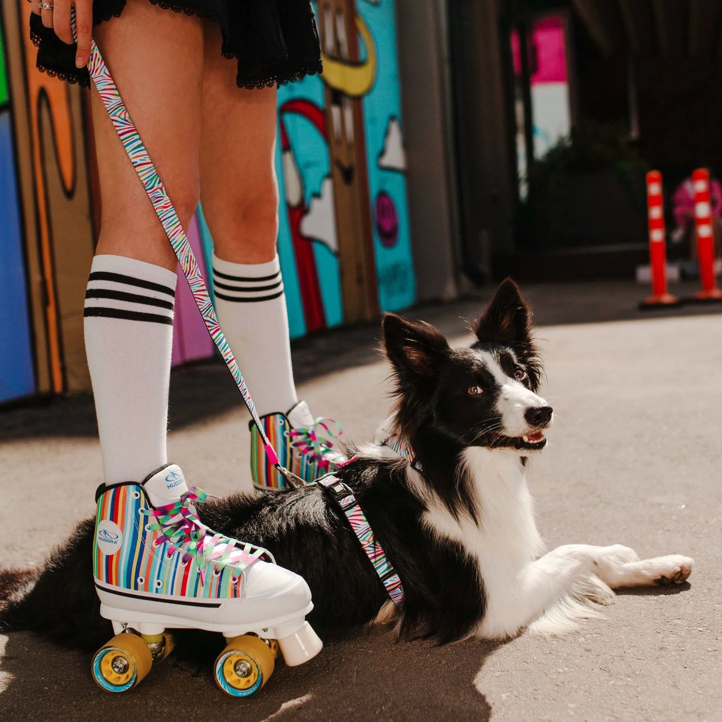 Max & Molly GOTCHA! Smart ID Collar – Magic Zebra