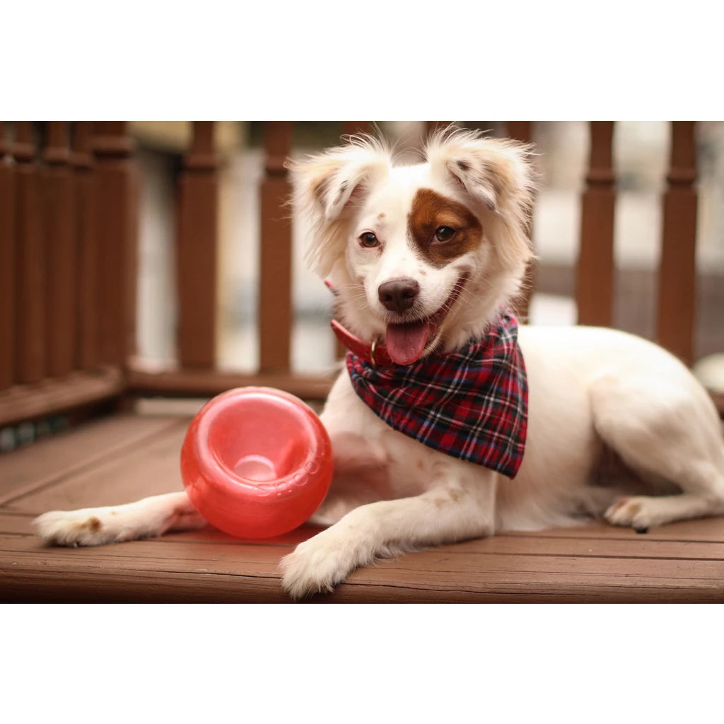 Outward Hound Orbee-Tuff Lil’ Snoop S Rood Interactief Snackspeeltje voor Honden