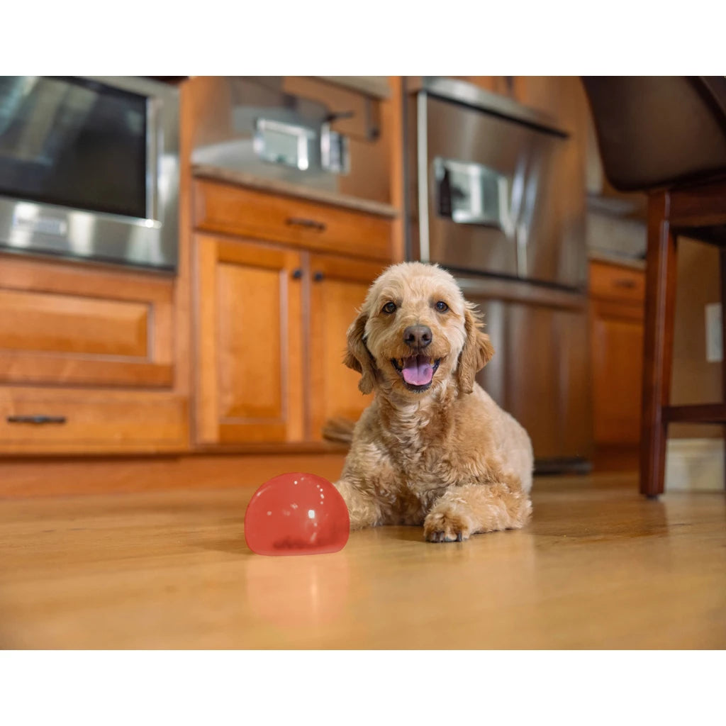 Outward Hound Orbee-Tuff Lil’ Snoop S Rood Interactief Snackspeeltje voor Honden