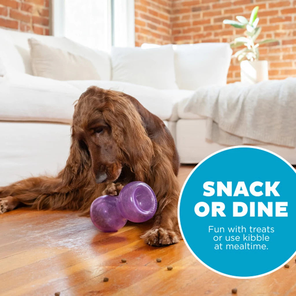 Outward Hound Double Snoop Paars Interactief Snackspeeltje voor Honden