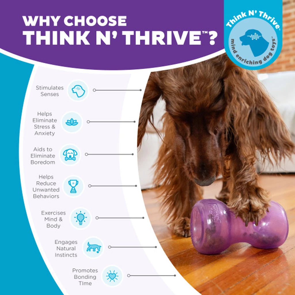 Outward Hound Double Snoop Paars Interactief Snackspeeltje voor Honden