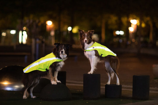 Trixie Veiligheidshesje Reflecterend – neongeel hondenvest met reflecterende strepen voor zichtbaarheid in het donker