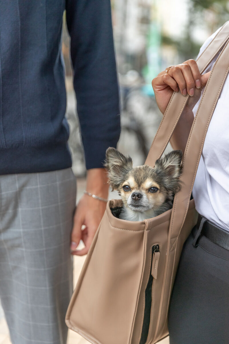 Trixie CityStyle draagtas voor hond urban chic