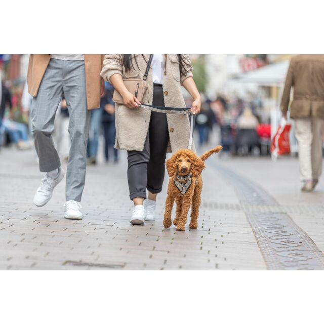 Trixie Uitlaat-Zakje CityStyle – Trainings- & Snacktas