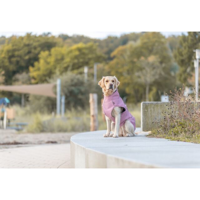 Trixie Regenjas – Vimy Roze