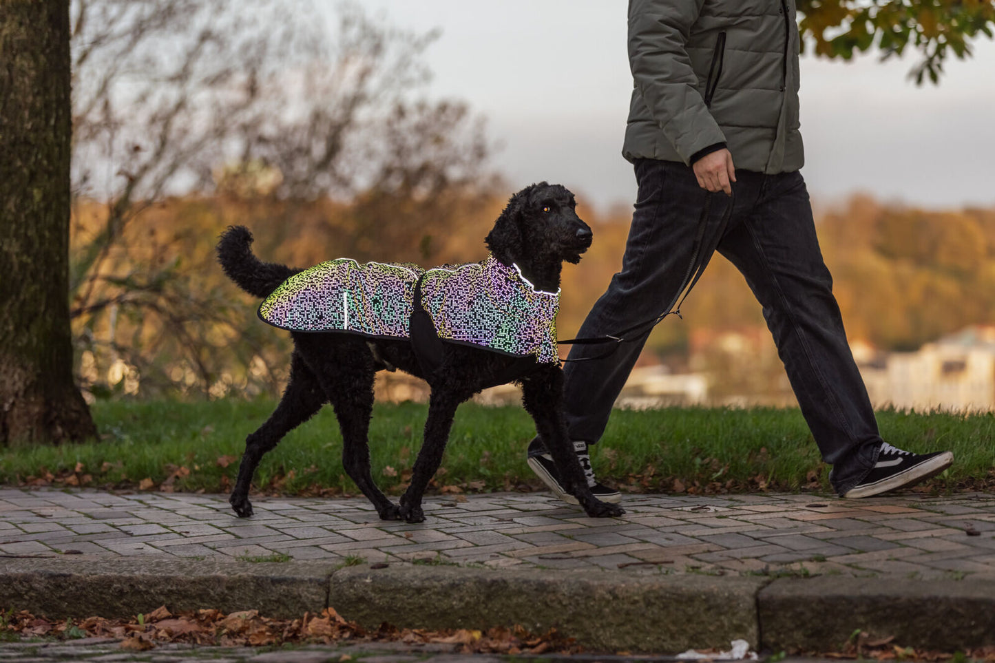 Trixie Jas Limoux Reflecterende winterjas – Zwart/Grijs