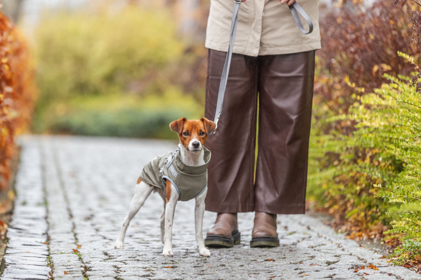 Trixie Jas met Tuig Pontis Rain – Groen | Waterdichte hondenjas met tuig