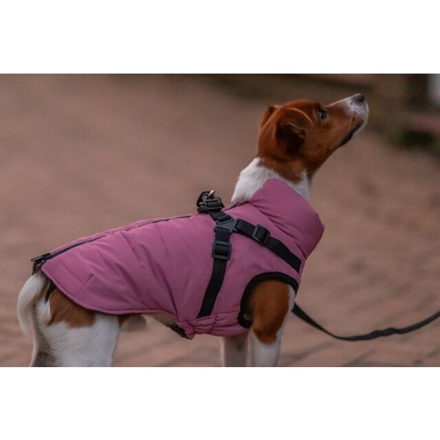 Trixie Span Pontis Winterjas met Tuig – Roze
