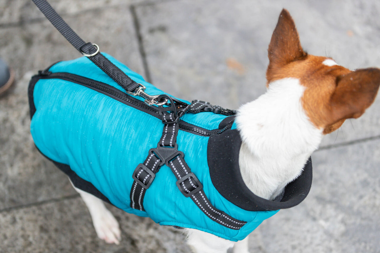 Trixie Jas met Tuig – Pontis Aqua