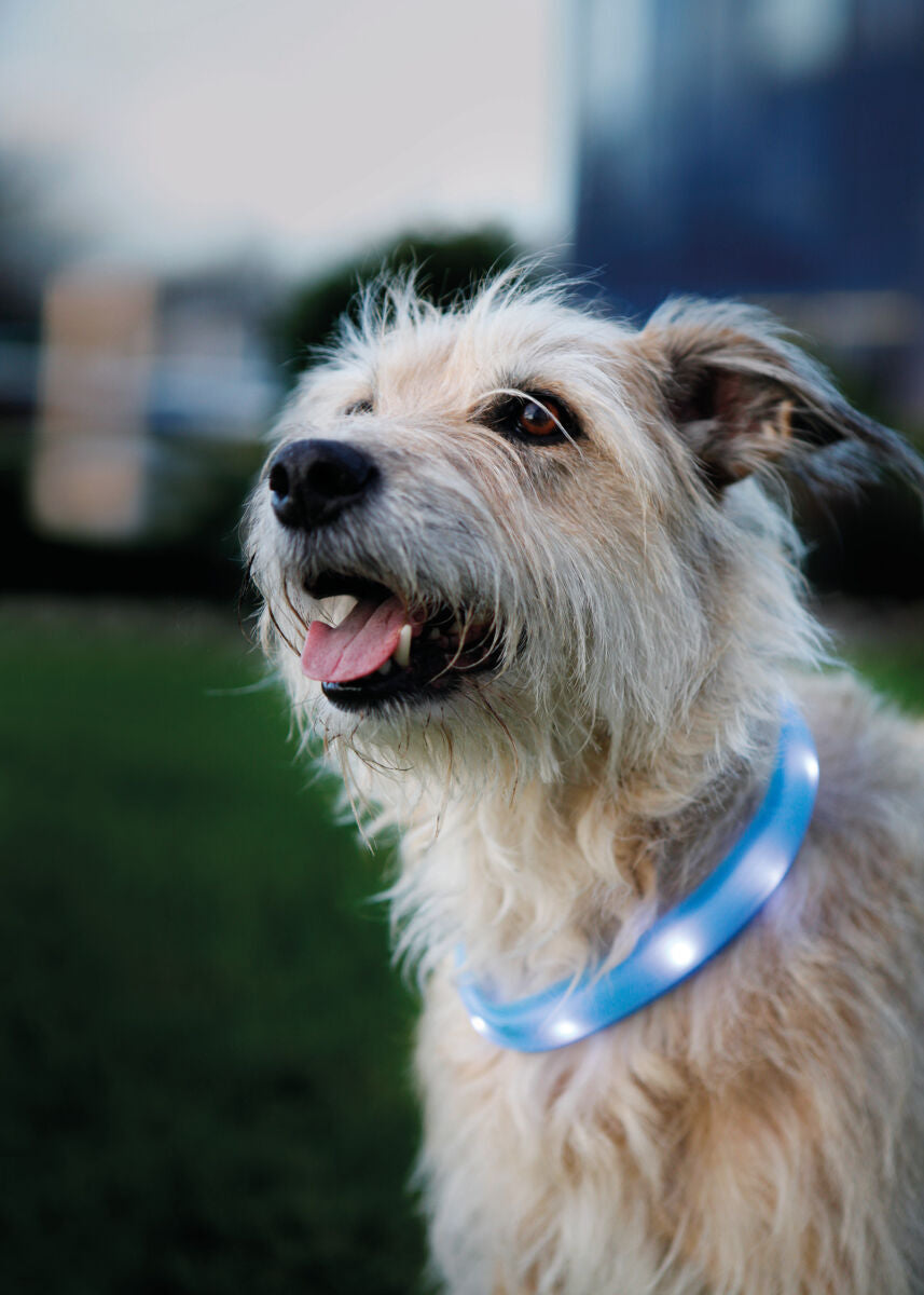 Trixie Flash Lichtgevende Band USB – Extra Breed