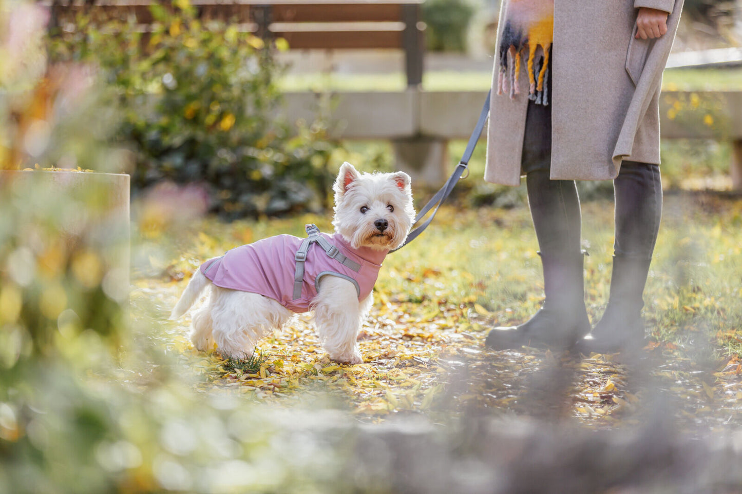 Trixie Jas met Tuig Pontis Rain – Roze | Waterdichte hondenjas met tuig