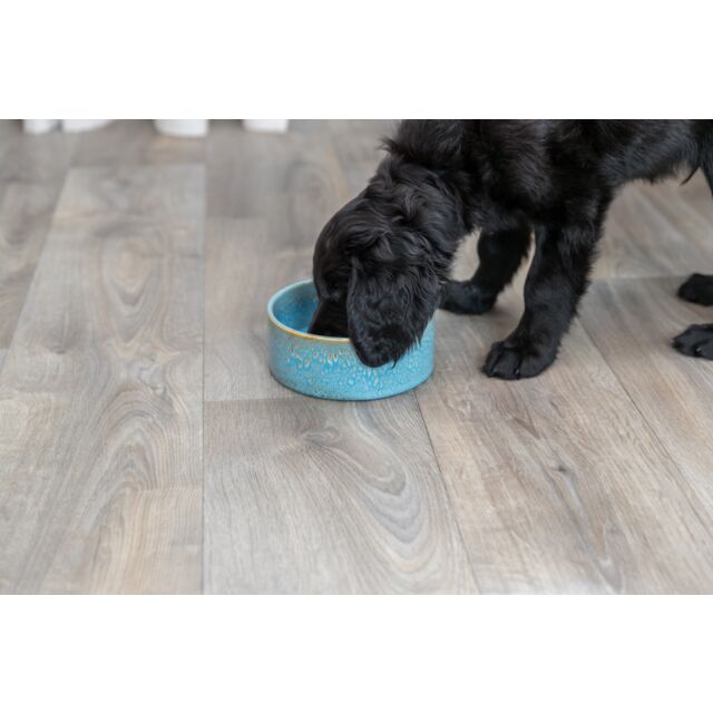 Trixie Keramische voer- en waterbak – Blauw Retro