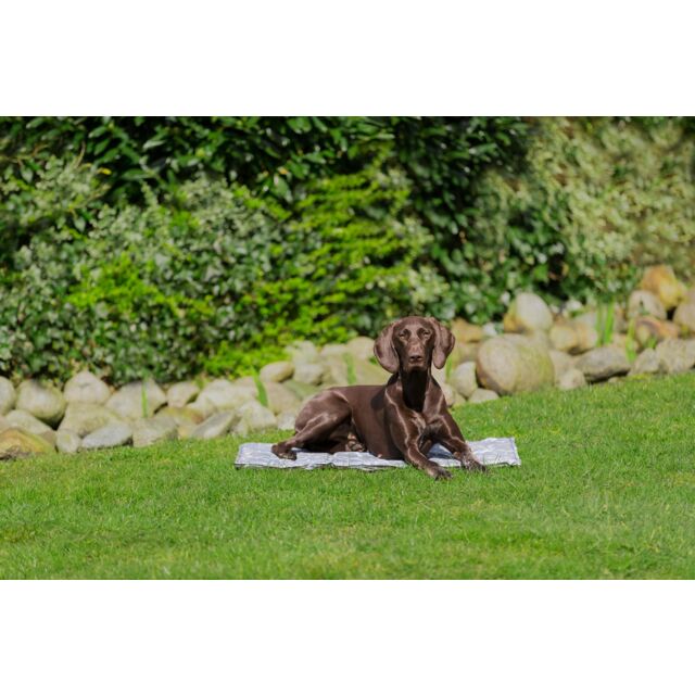 Trixie Koelmat Soft – Verkoelende rustmat voor honden