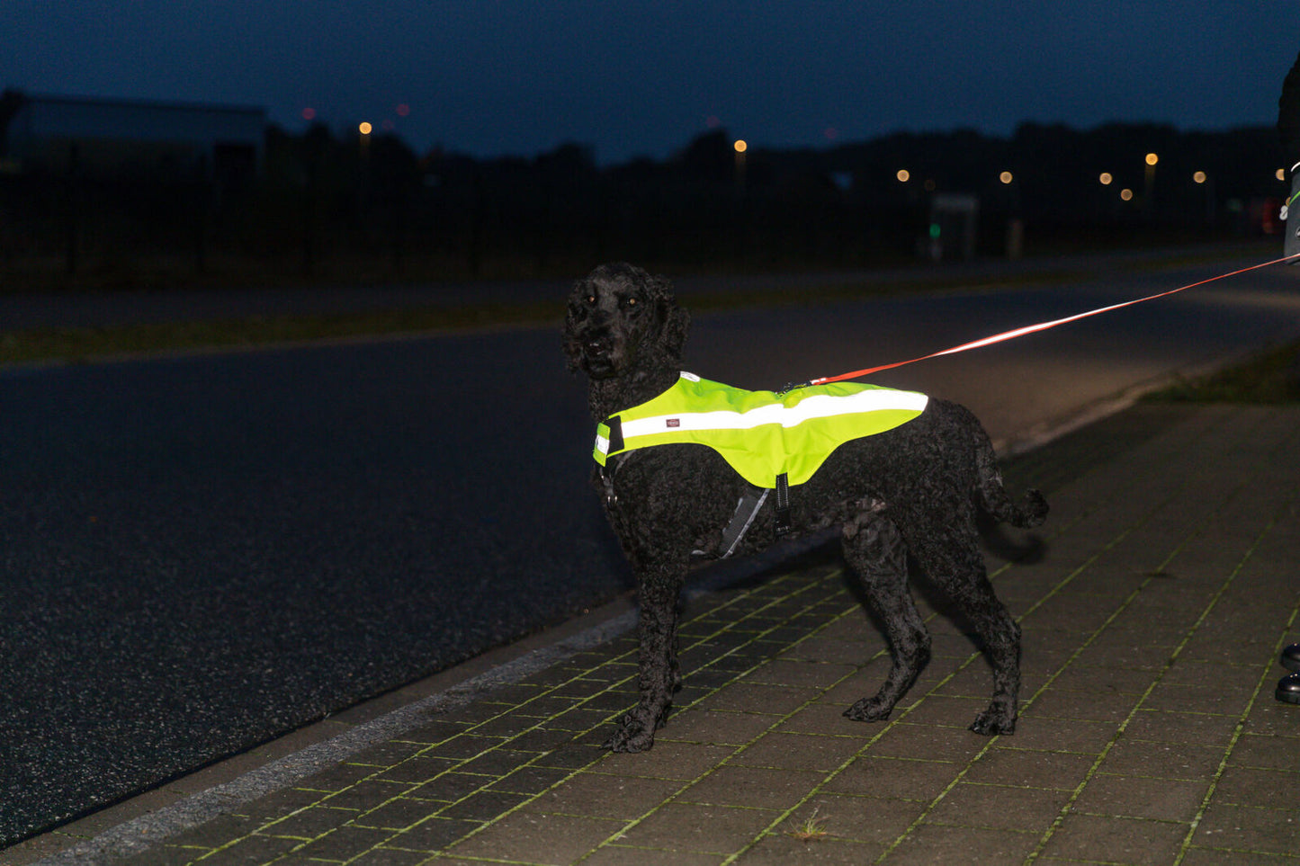 Trixie Veiligheidshesje Luxe Reflecterend – Neon Geel