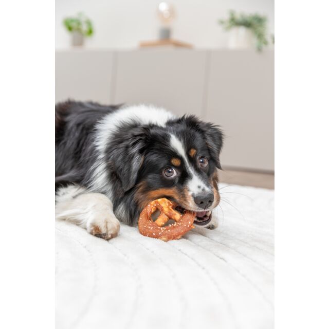 Trixie Denta Fun Pretzel kip | Fun Snack (2 stuks)