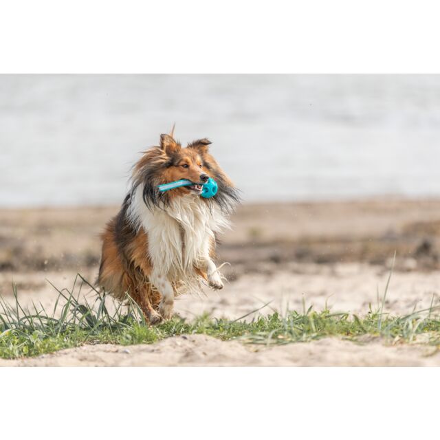 Trixie Honingraat Bal aan Koord 6x23cm | TPE Apporteerspeeltje