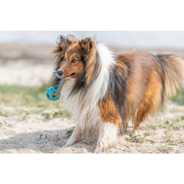 Trixie Honingraat Bal aan Koord 6x23cm | TPE Apporteerspeeltje