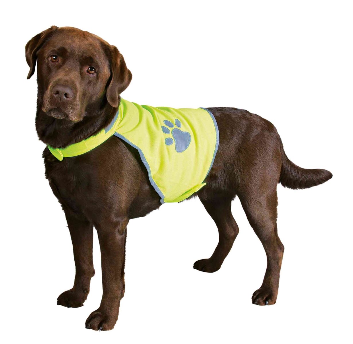 Trixie Veiligheidsvest Reflecterend – neongeel hondenhesje met reflecterende strepen voor zichtbaarheid in het donker