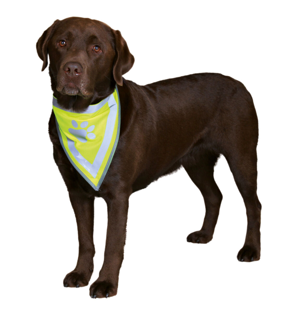 Trixie Veiligheidssjaaltje neon gekleurd met reflecterende strepen om halsband van hond voor extra zichtbaarheid