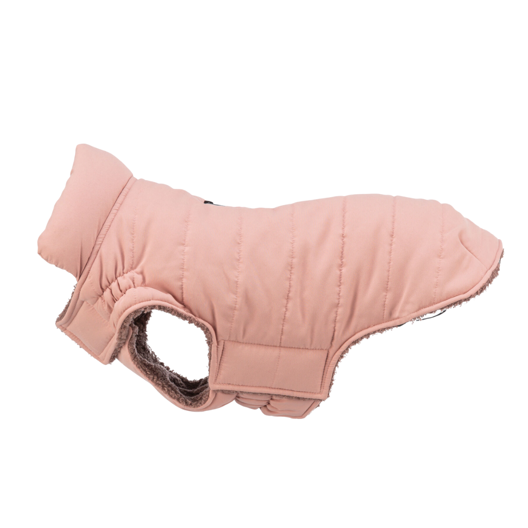 Trixie Strong Winterjas Lesmont in abrikoos – warme, waterdichte hondenjas met verstelbare pasvorm