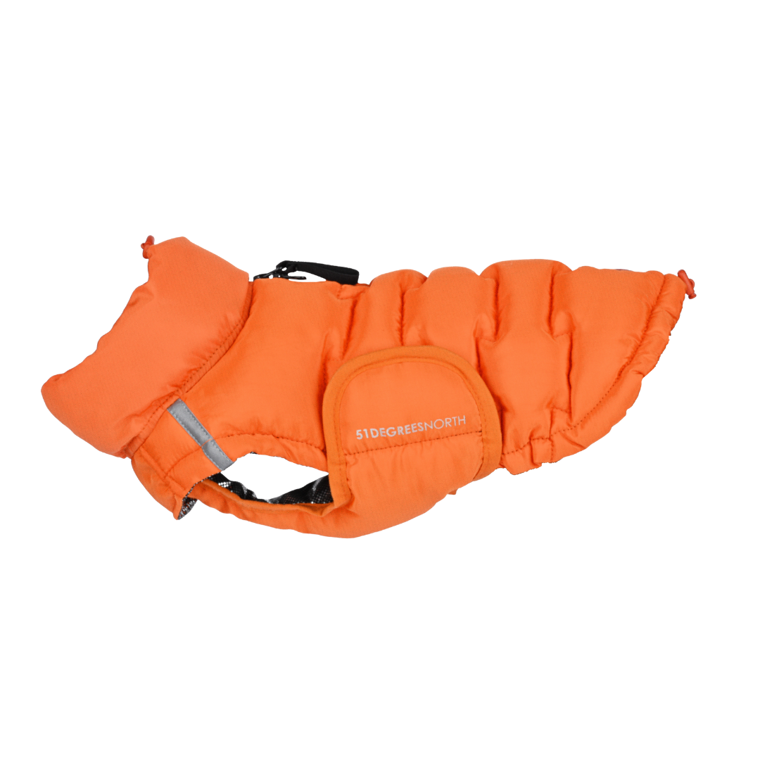 51 Degrees North Edge Coat – Oranje Hondenjas (Teckel-proof)