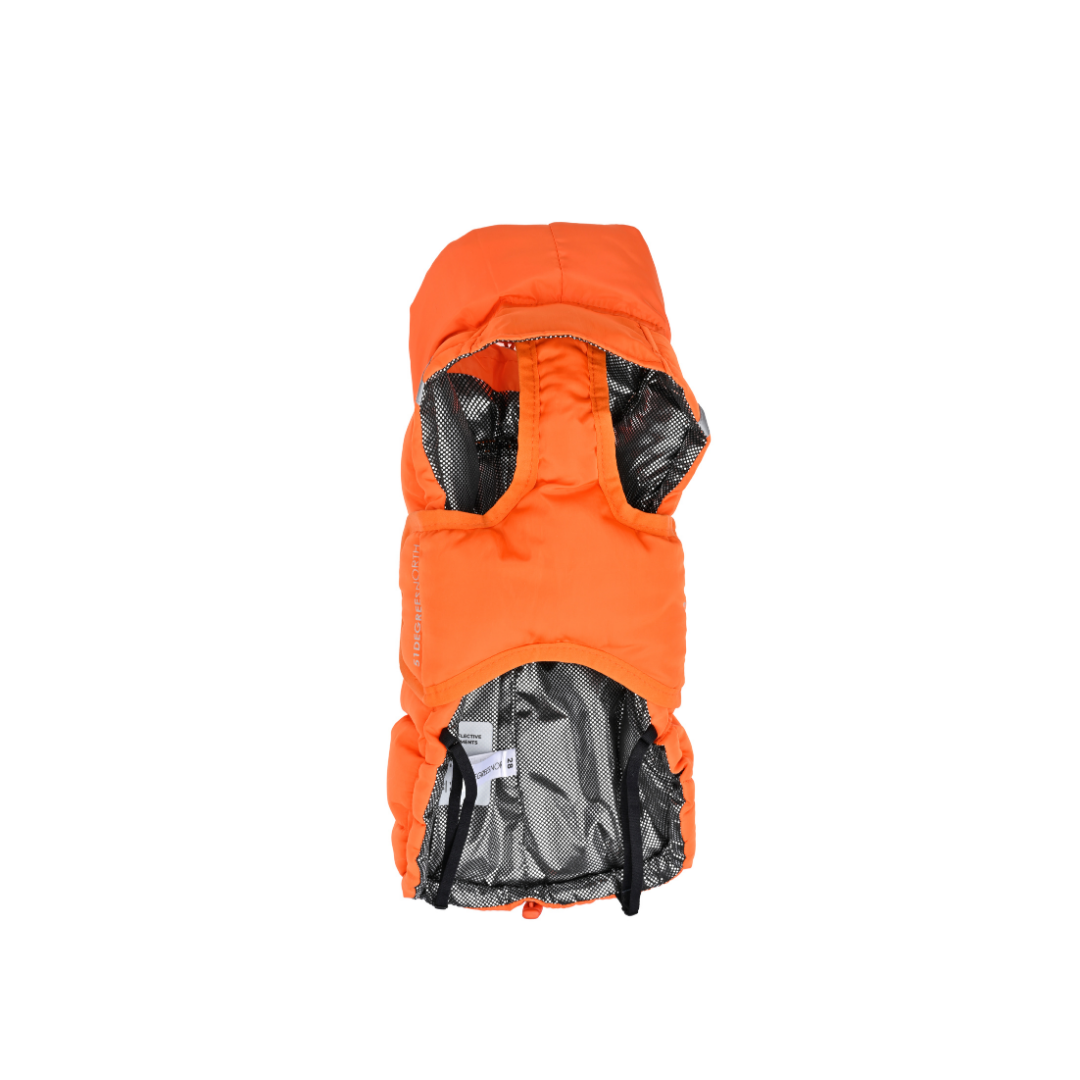 51 Degrees North Edge Coat – Oranje Hondenjas (Teckel-proof)