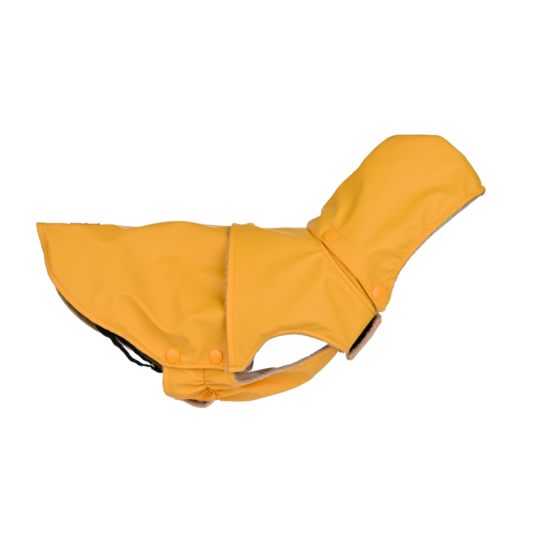 51 Degrees North Rainy Coat – Waterdichte hondenjas (Teckel Proof)