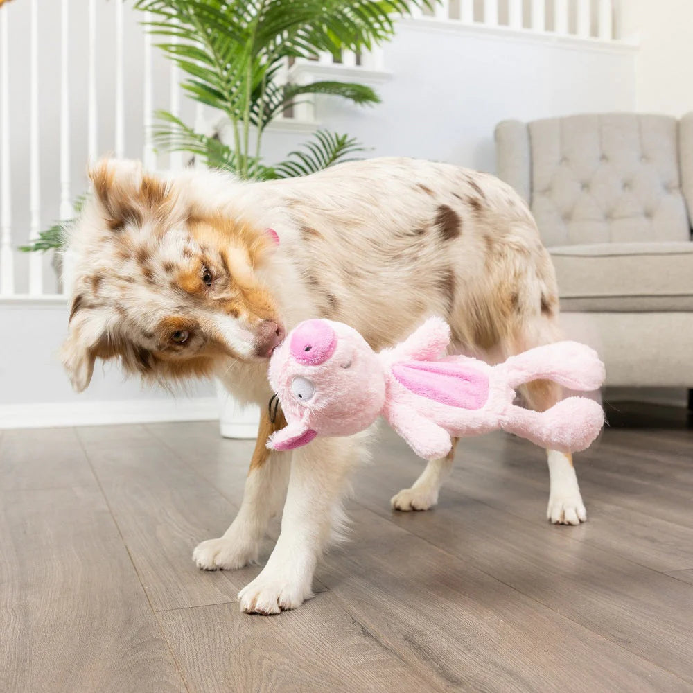 Lulubelles Power Plush – Piggie - Pluche Hondenspeelgoed