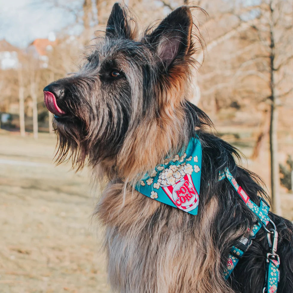 Max & Molly Popcorn – Hondenbandana