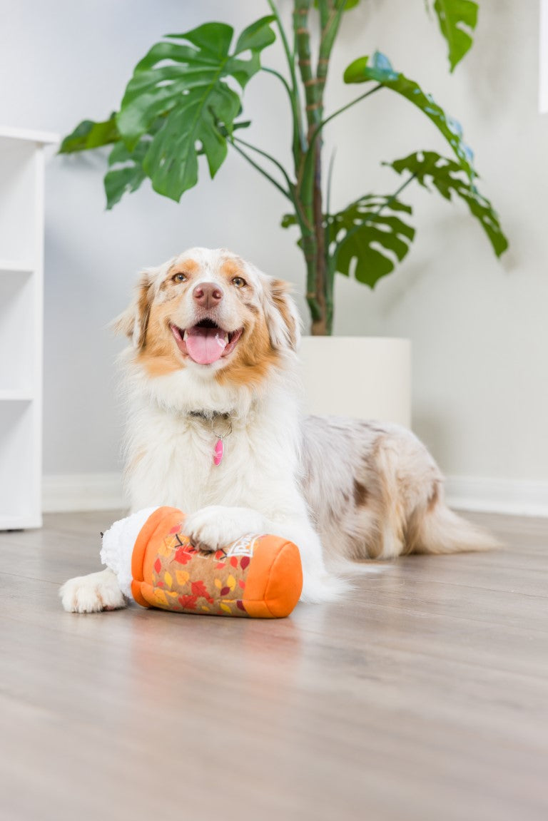 Lulubelles Power Plush Puggin Spice Latte Hondenspeeltje met Pieper