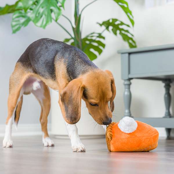 Lulubelles Power Plush Punkin Pie Hondenspeeltje met Pieper