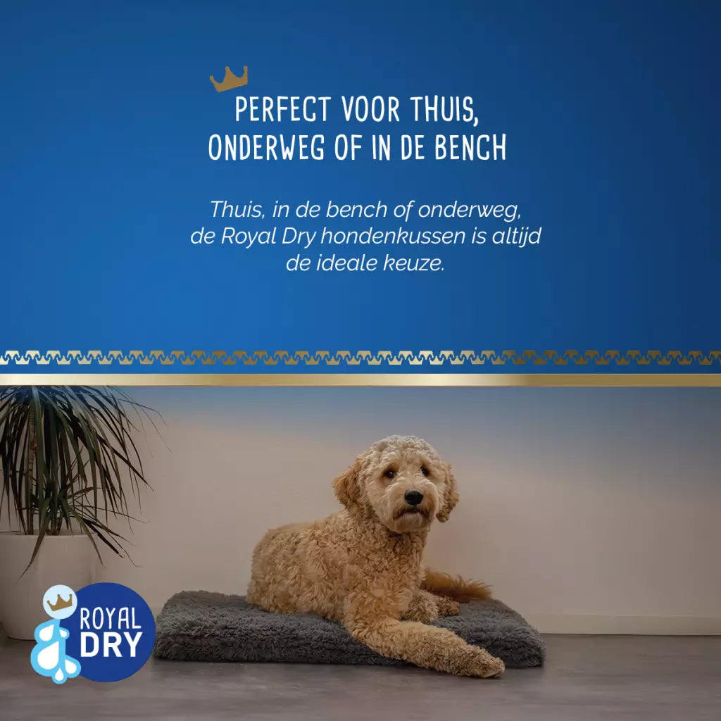 Royal Dry Kussen voor honden – superzacht, absorberend hondenkussen