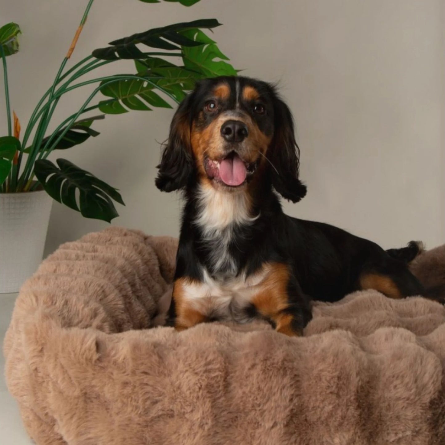 Scruffs Alpine Box Bed – Taupe, royaal en zacht