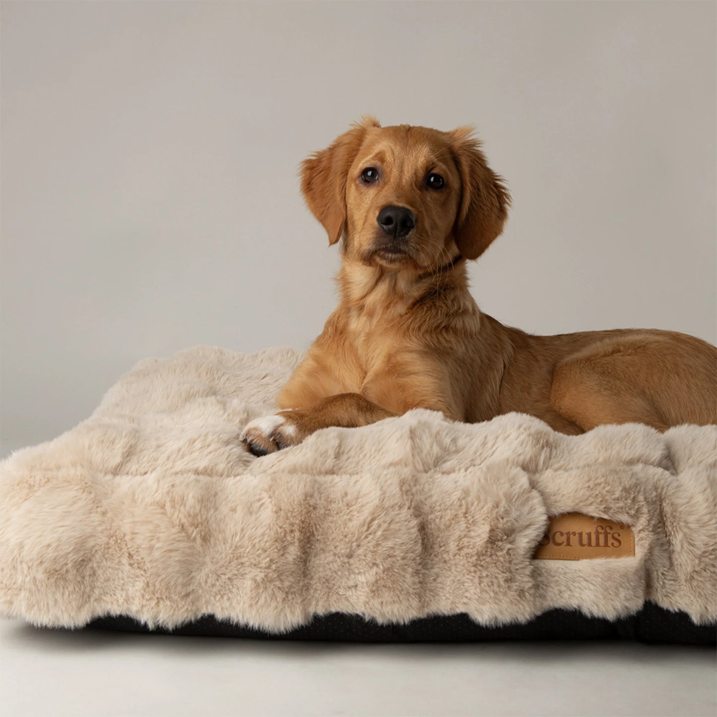 Scruffs Alpine Mattress Hondenkussen – Champagne