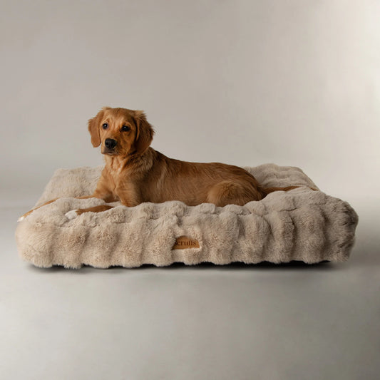 Scruffs Alpine Mattress Hondenkussen – Champagne