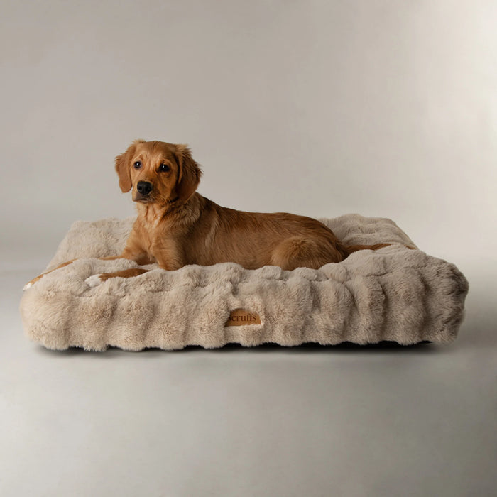 Scruffs Alpine Mattress Hondenkussen – Champagne