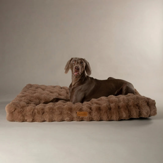 Scruffs Alpine Mattress Hondenkussen – Taupe