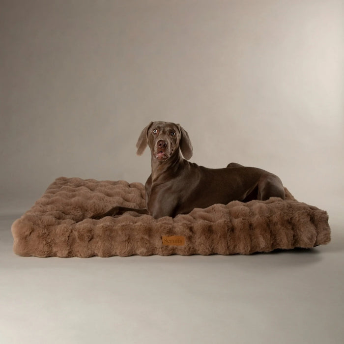 Scruffs Alpine Mattress Hondenkussen – Taupe