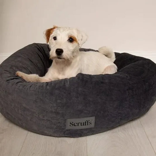 Scruffs Oslo Mand – Grey & Scandinavisch comfort
