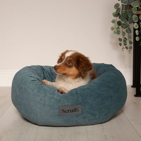 Scruffs Oslo Mand – Grey & Scandinavisch comfort