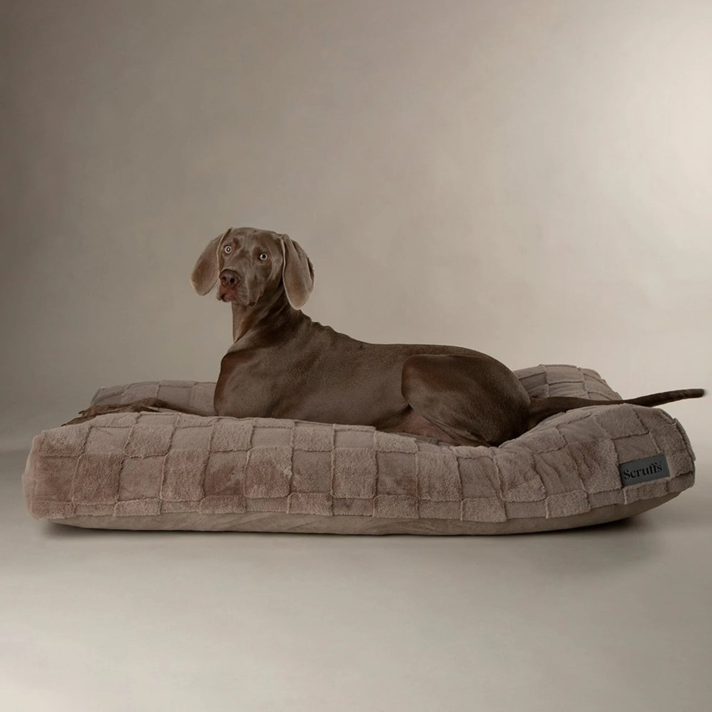 Scruffs Oxford Orthopedisch Kussen – Luxe & comfort
