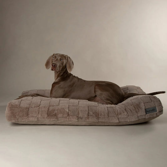 Scruffs Oxford Orthopedisch Kussen – Luxe & comfort