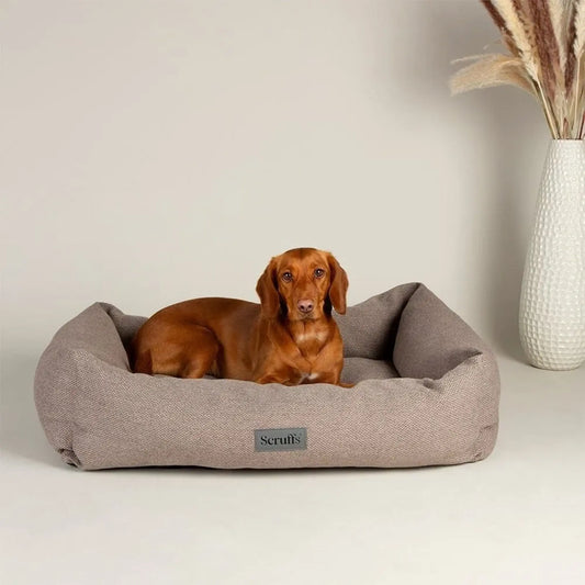 Scruffs Seattle Box Bed – Stone Grey & urban chic
