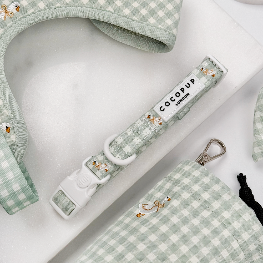 Cocopup London Silly Goose – Hondenhalsband – productfoto Cocopup London