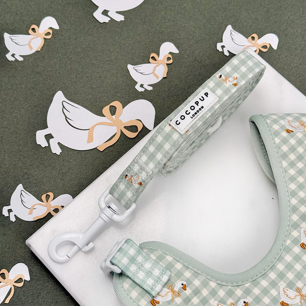 Cocopup London Silly Goose – Hondenlijn – productfoto Cocopup London