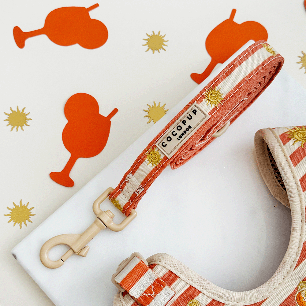 Cocopup London Sunshine & Spritz – Hondenlijn – productfoto Cocopup London