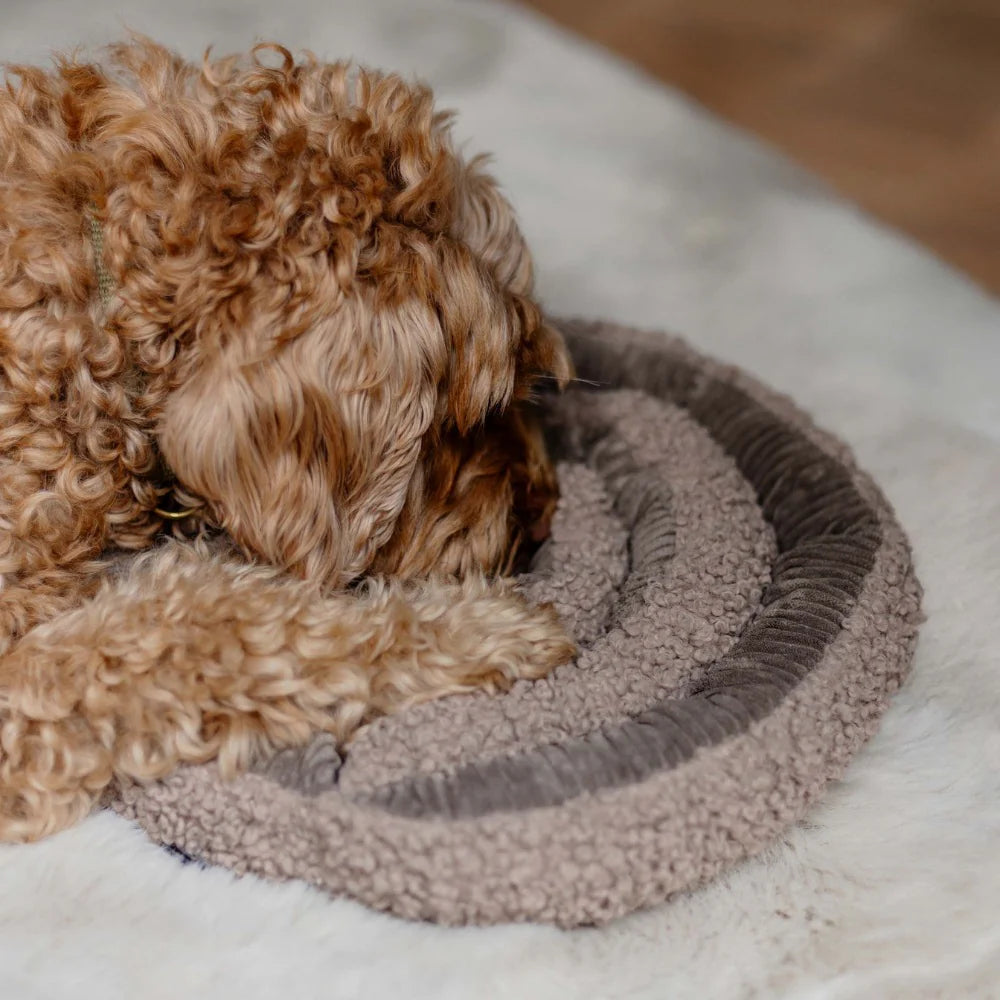 District 70 SWIRL Snuffelmat voor Honden Mentale Uitdaging en Anti-Verveling